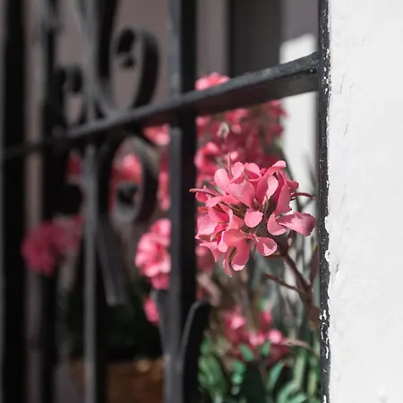 Tetuan Boutique In Old Town